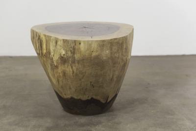  Costantini Design Hand Carved Live Edge Solid Wood Trunk Table 37 by Costantini