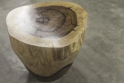  Costantini Design Hand Carved Live Edge Solid Wood Trunk Table 37 by Costantini