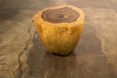 Costantini Design Hand Carved Live Edge Solid Wood Trunk Table 37 by Costantini in Stock