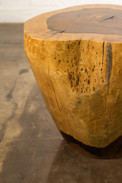  Costantini Design Hand Carved Live Edge Solid Wood Trunk Table 37 by Costantini in Stock