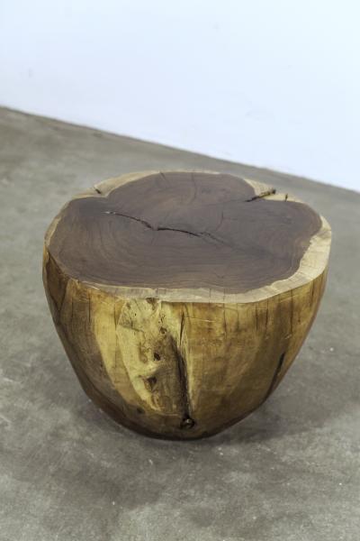  Costantini Design Hand Carved Live Edge Solid Wood Trunk Table 6 by Costantini