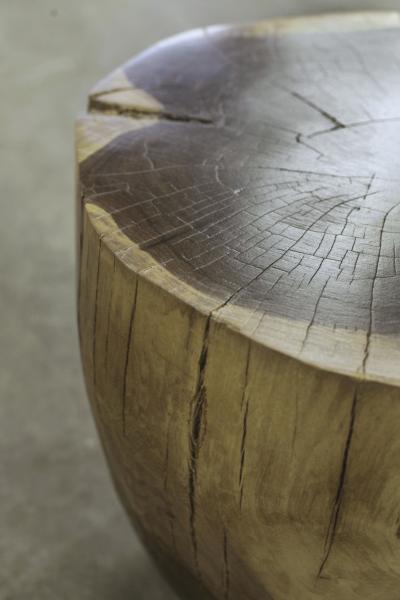  Costantini Design Hand Carved Live Edge Solid Wood Trunk Table 6 by Costantini