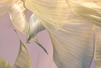  Costantini Design Modern Fabric Pendant Hand painted Light Nebula Grande by Studio Mirei In Stock