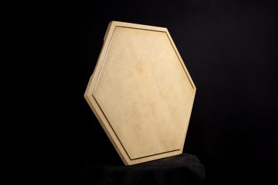  Costantini Design Parchment and Bronze Serving Tray by Costantini IVO
