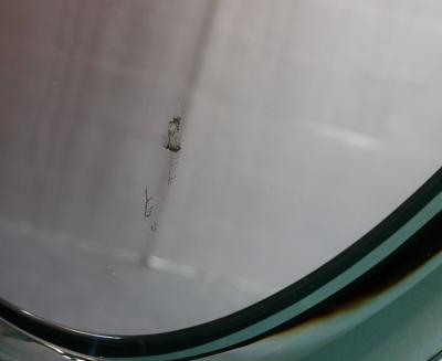  Cristal Arte Pair of Vintage Italian Green Glass Teardrop Form Wall Mirrors by Cristal Arte