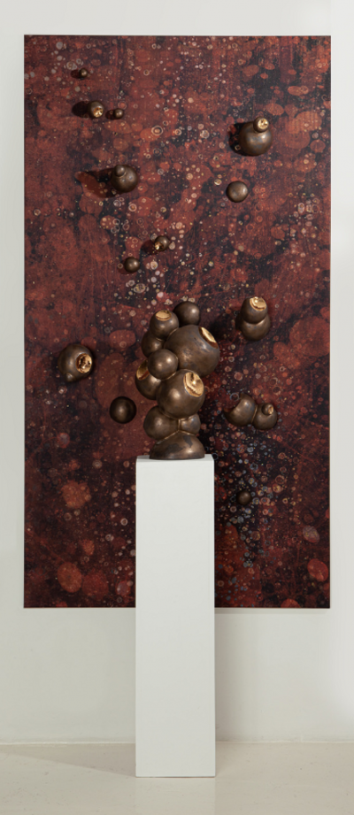  Diaz Hengst Expand I 2023