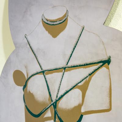  Dino Gavina Studio Simon Dino Gavina Wall Decorative Pannel mod Venere