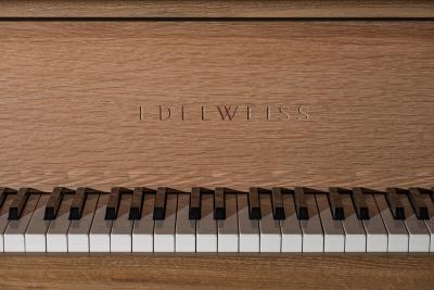  Edelweiss The Eclipse in White Oak