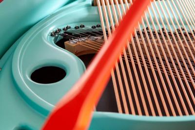  Edelweiss The Original