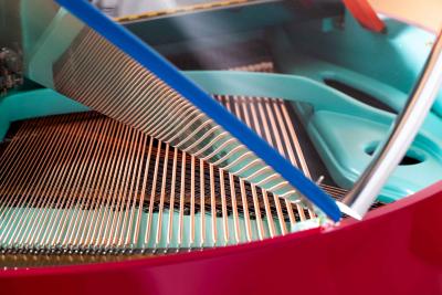  Edelweiss The Original