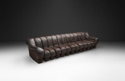  Eleanore Peduzzi Riva DS 600 Snake Sofa by Berger Peduzzi Riva Ulrich and Vogt Switzerland 1972