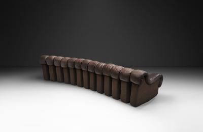  Eleanore Peduzzi Riva DS 600 Snake Sofa by Berger Peduzzi Riva Ulrich and Vogt Switzerland 1972