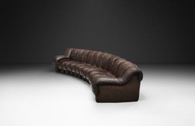  Eleanore Peduzzi Riva DS 600 Snake Sofa by Berger Peduzzi Riva Ulrich and Vogt Switzerland 1972
