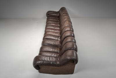  Eleanore Peduzzi Riva DS 600 Snake Sofa by Berger Peduzzi Riva Ulrich and Vogt Switzerland 1972
