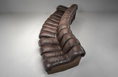  Eleanore Peduzzi Riva DS 600 Snake Sofa by Berger Peduzzi Riva Ulrich and Vogt Switzerland 1972
