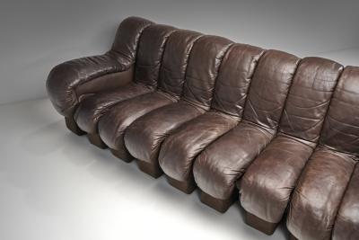 Eleanore Peduzzi Riva DS 600 Snake Sofa by Berger Peduzzi Riva Ulrich and Vogt Switzerland 1972