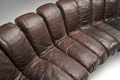  Eleanore Peduzzi Riva DS 600 Snake Sofa by Berger Peduzzi Riva Ulrich and Vogt Switzerland 1972