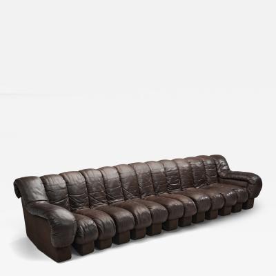 Eleanore Peduzzi Riva DS 600 Snake Sofa by Berger Peduzzi Riva Ulrich and Vogt Switzerland 1972