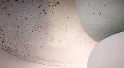  Emmanuel Levet Stenne and Nicolas S bastien Reese Shade hanging light by Emmanuel Levet Stenne and Nicolas S bastien Reese