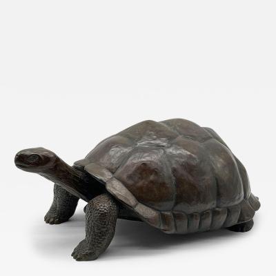  Eric Berg Galapagos Turtle