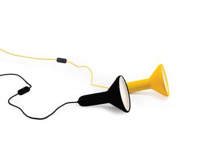 Established Sons Torch Light