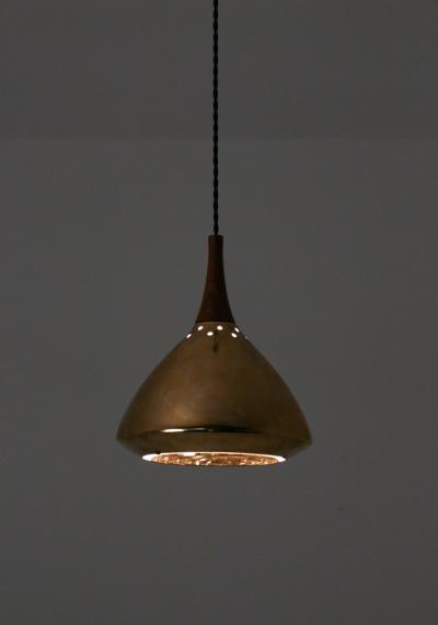  Falkenbergs Belysning Swedish Pendant in Rosewood and Perforated Brass by Falkenberg