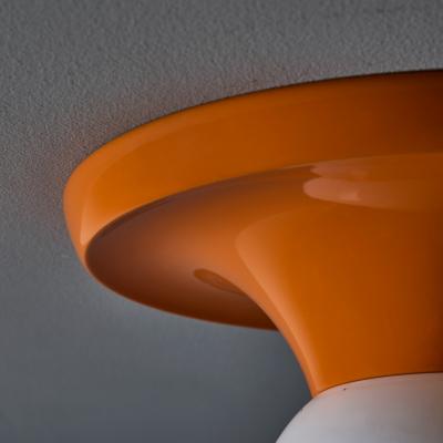 Flos Petite 1960s Castiglioni Light Ball Wall Ceiling Lamp for Flos
