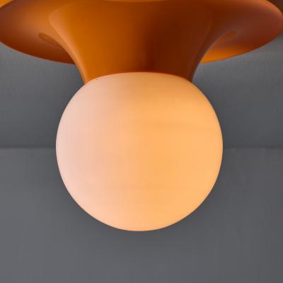 Flos Petite 1960s Castiglioni Light Ball Wall Ceiling Lamp for Flos