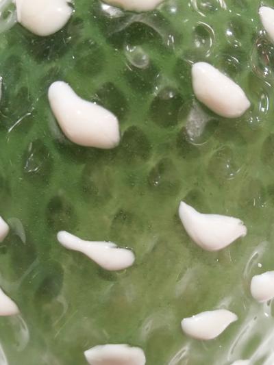  Fornace Mian Modern Italian Green White Gold Orange Murano Glass Cactus Plant Red Flowers