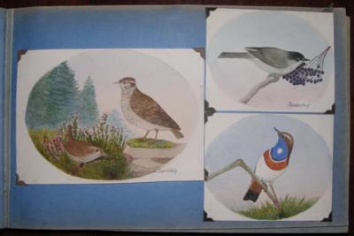  G RAUBER G RAUBER GERMAN GEFIEDERTES VOLK FEATHERED FOLK 