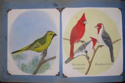  G RAUBER G RAUBER GERMAN GEFIEDERTES VOLK FEATHERED FOLK 