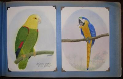  G RAUBER G RAUBER GERMAN GEFIEDERTES VOLK FEATHERED FOLK 