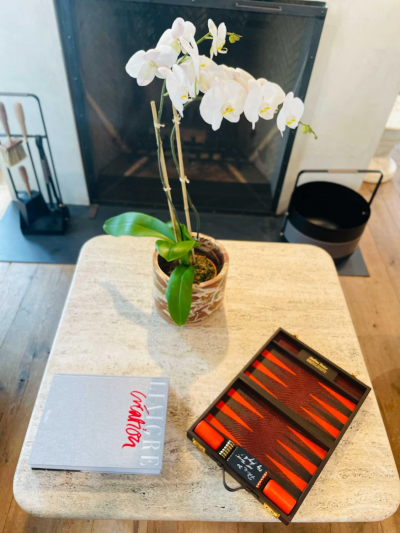  Geoffrey Parker TRAVEL SIZE BACKGAMMON BOARD