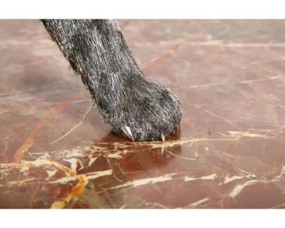  Gianmaria Buccellati Gianmaria Buccellati a Rare and Exceptional Italian Silver Bobcat