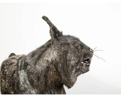  Gianmaria Buccellati Gianmaria Buccellati a Rare and Exceptional Italian Silver Bobcat