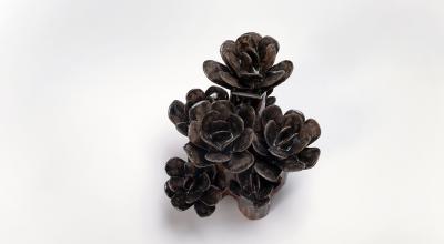  Godeleine de Rosamel Pinky black by Godeleine de Rosamel