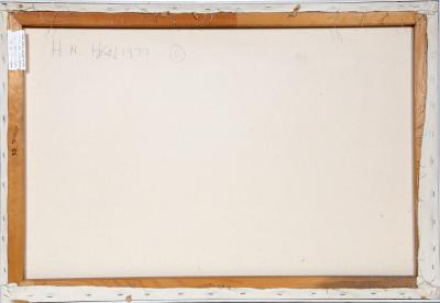  H N Han Small Skyline