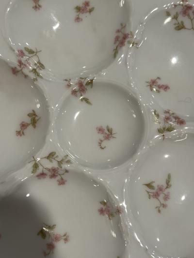  Haviland Co SET OF SIX EXQUISITE ANTIQUE FRENCH PORCELAIN FLORAL LIMOGES OYSTER PLATES