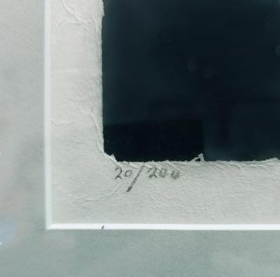  Henry Williams African American Walter Henry Williams Print Fighting Cock 3 