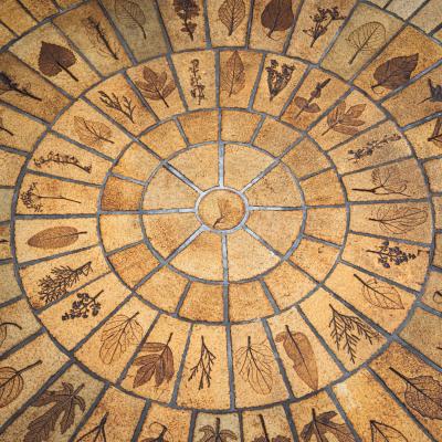  Herbarium Coffee Table with Floral Impressions by Roger Capron France 1960s