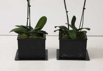  IBU IBU Sand Cast Bronze Planters Custom Bronze Trays France signed numbered