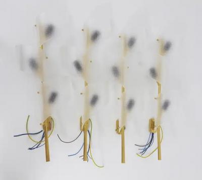  J T Kalmar Kalmar Lighting J T Kalmar Two Pairs of Large Floral Auguri Brass Sconces Austria 1950s