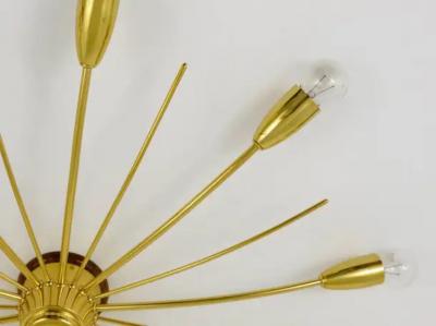  J T Kalmar Kalmar Lighting Large J T Kalmar Sonne Sun Brass Spider Chandelier Flush Mount Austria 1950s