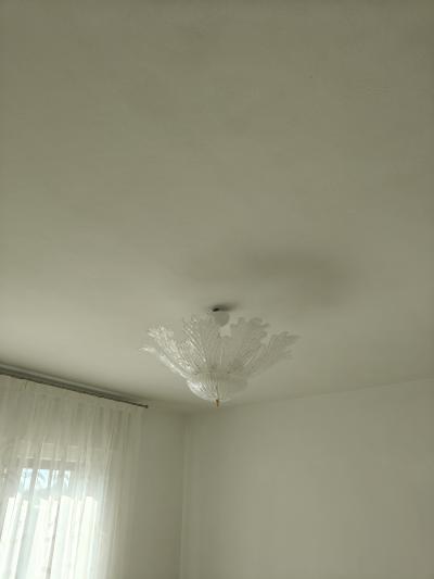  JL Light Style Murano glass ceiling chandelier with clear Fantasy leaves