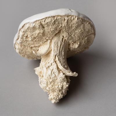  Jean Paul Gourdon SCULPTURE OF A C PE IN UNGLAZED AND GLAZED WHITE FA ENCE