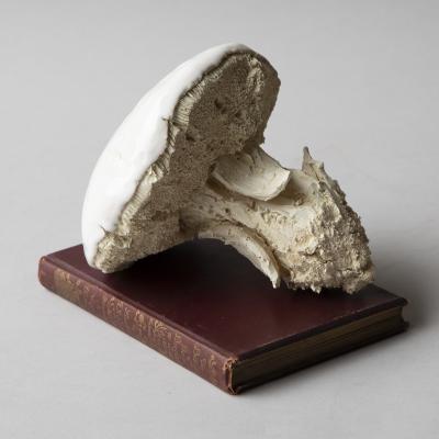  Jean Paul Gourdon SCULPTURE OF A C PE IN UNGLAZED AND GLAZED WHITE FA ENCE
