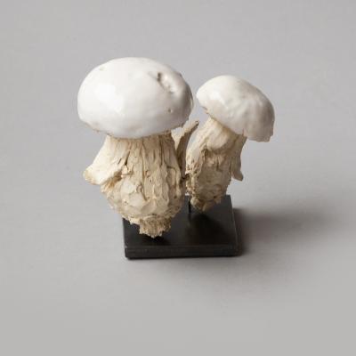 Jean Paul Gourdon SCULPTURE OF TWO MUSHROOMS IN UNGLAZED AND GLAZED WHITE FA ENCE
