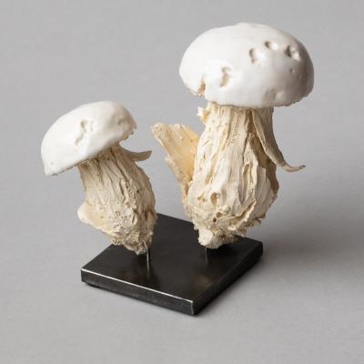  Jean Paul Gourdon SCULPTURE OF TWO MUSHROOMS IN UNGLAZED AND GLAZED WHITE FA ENCE