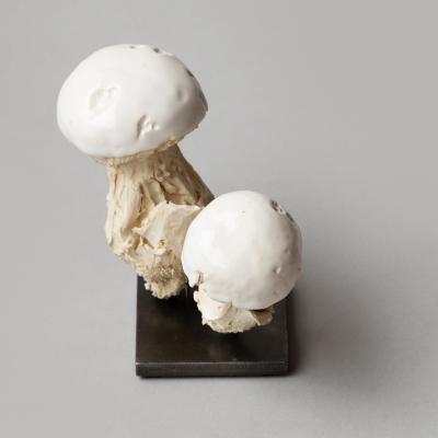  Jean Paul Gourdon SCULPTURE OF TWO MUSHROOMS IN UNGLAZED AND GLAZED WHITE FA ENCE