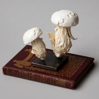  Jean Paul Gourdon SCULPTURE OF TWO MUSHROOMS IN UNGLAZED AND GLAZED WHITE FA ENCE